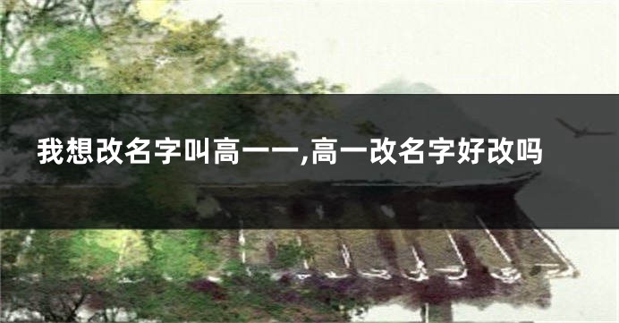我想改名字叫高一一,高一改名字好改吗