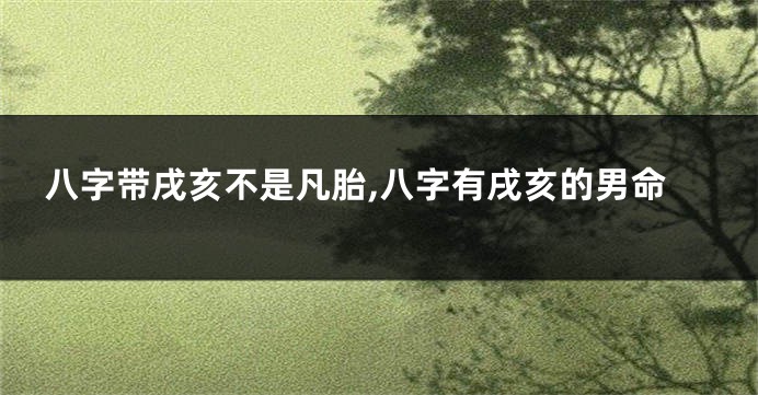 八字带戌亥不是凡胎,八字有戌亥的男命