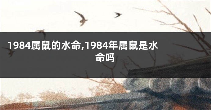 1984属鼠的水命,1984年属鼠是水命吗