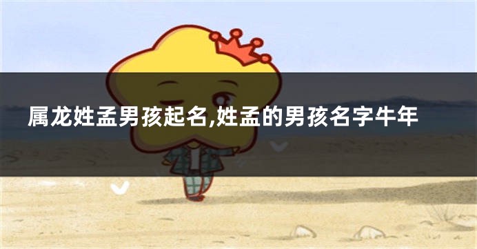 属龙姓孟男孩起名,姓孟的男孩名字牛年