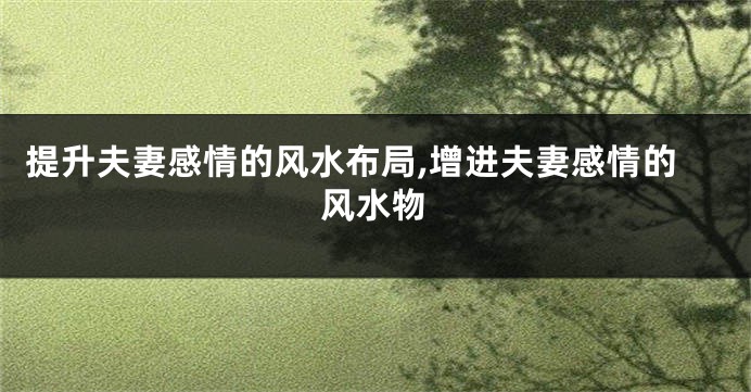 提升夫妻感情的风水布局,增进夫妻感情的风水物