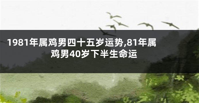 1981年属鸡男四十五岁运势,81年属鸡男40岁下半生命运