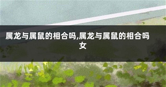 属龙与属鼠的相合吗,属龙与属鼠的相合吗女
