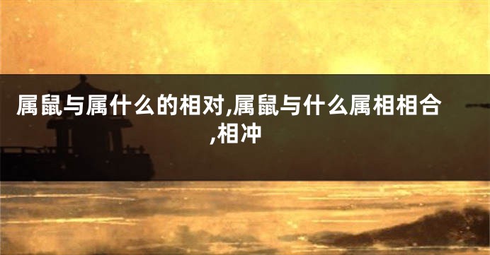 属鼠与属什么的相对,属鼠与什么属相相合,相冲