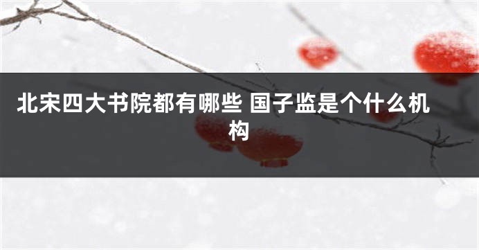 北宋四大书院都有哪些 国子监是个什么机构