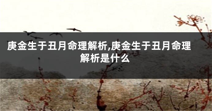 庚金生于丑月命理解析,庚金生于丑月命理解析是什么