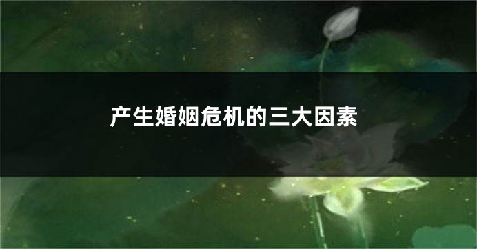 产生婚姻危机的三大因素