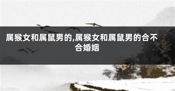属猴女和属鼠男的,属猴女和属鼠男的合不合婚姻