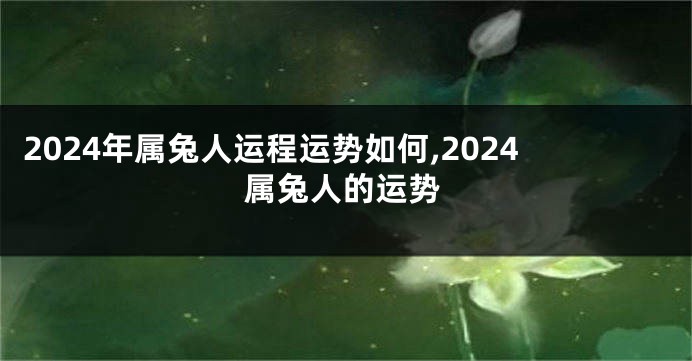 2024年属兔人运程运势如何,2024属兔人的运势