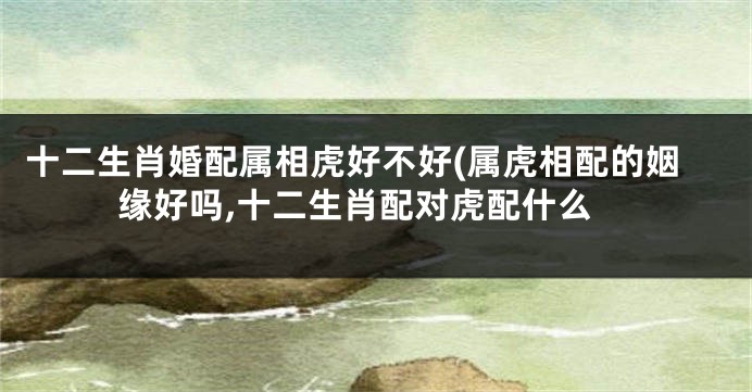 十二生肖婚配属相虎好不好(属虎相配的姻缘好吗,十二生肖配对虎配什么