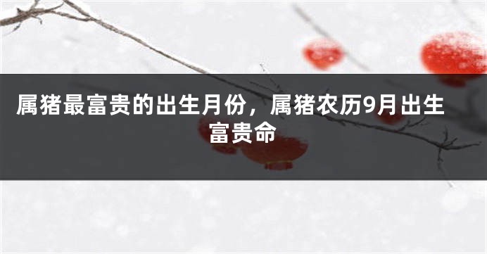 属猪最富贵的出生月份，属猪农历9月出生富贵命