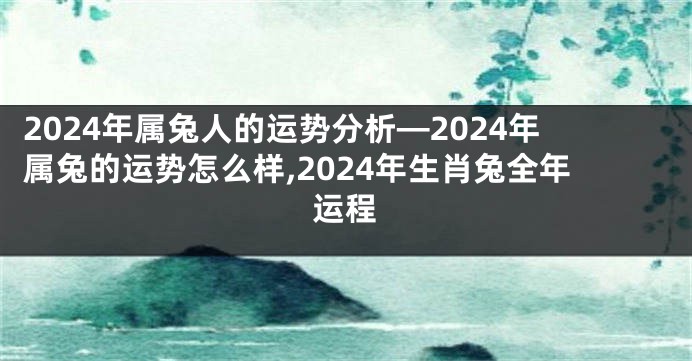 2024年属兔人的运势分析—2024年属兔的运势怎么样,2024年生肖兔全年运程