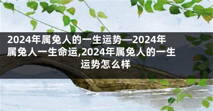 2024年属兔人的一生运势—2024年属兔人一生命运,2024年属兔人的一生运势怎么样