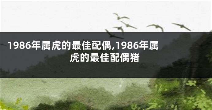 1986年属虎的最佳配偶,1986年属虎的最佳配偶猪