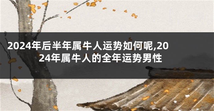 2024年后半年属牛人运势如何呢,2024年属牛人的全年运势男性