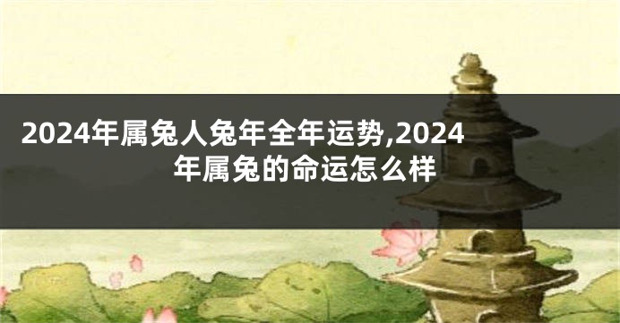 2024年属兔人兔年全年运势,2024年属兔的命运怎么样