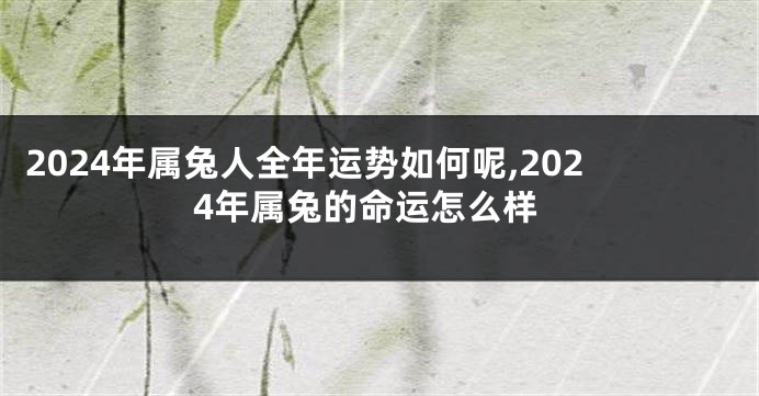 2024年属兔人全年运势如何呢,2024年属兔的命运怎么样
