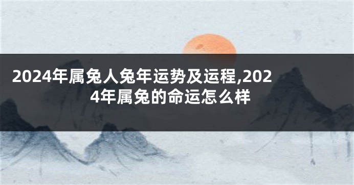 2024年属兔人兔年运势及运程,2024年属兔的命运怎么样