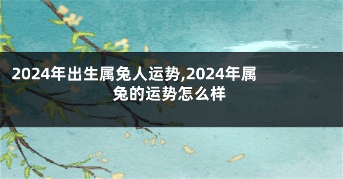 2024年出生属兔人运势,2024年属兔的运势怎么样