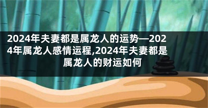 2024年夫妻都是属龙人的运势—2024年属龙人感情运程,2024年夫妻都是属龙人的财运如何