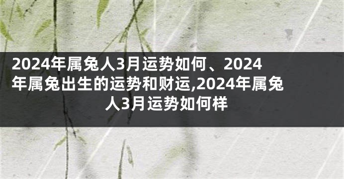 2024年属兔人3月运势如何、2024年属兔出生的运势和财运,2024年属兔人3月运势如何样