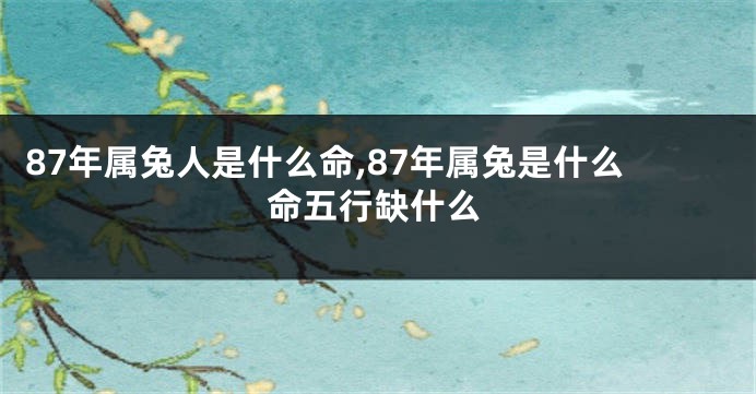 87年属兔人是什么命,87年属兔是什么命五行缺什么