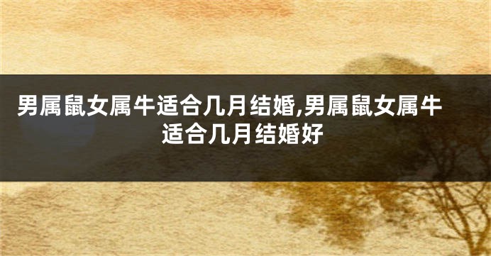 男属鼠女属牛适合几月结婚,男属鼠女属牛适合几月结婚好