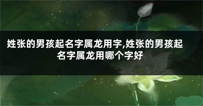姓张的男孩起名字属龙用字,姓张的男孩起名字属龙用哪个字好