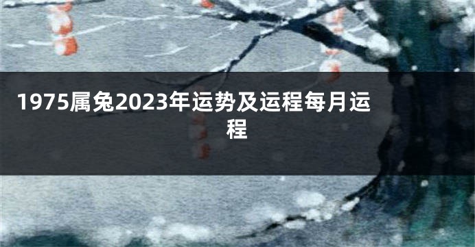 1975属兔2023年运势及运程每月运程