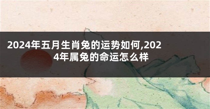 2024年五月生肖兔的运势如何,2024年属兔的命运怎么样