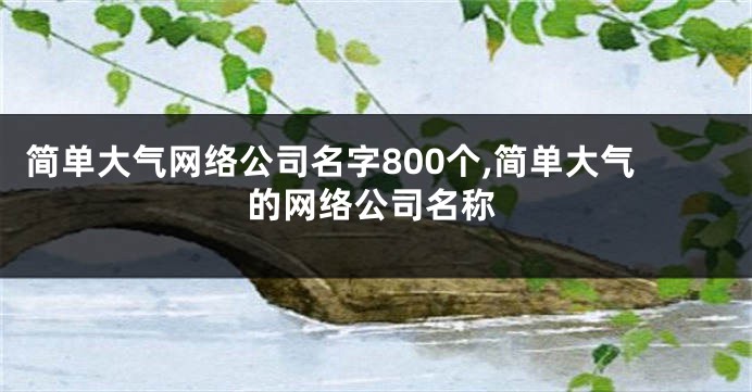简单大气网络公司名字800个,简单大气的网络公司名称