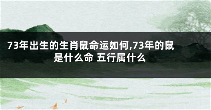73年出生的生肖鼠命运如何,73年的鼠是什么命 五行属什么
