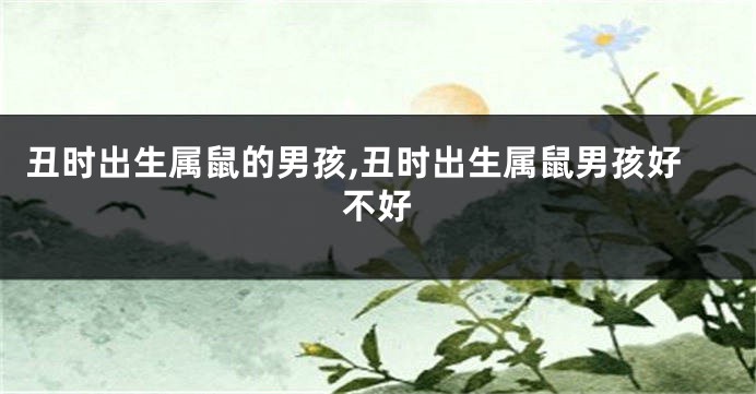 丑时出生属鼠的男孩,丑时出生属鼠男孩好不好