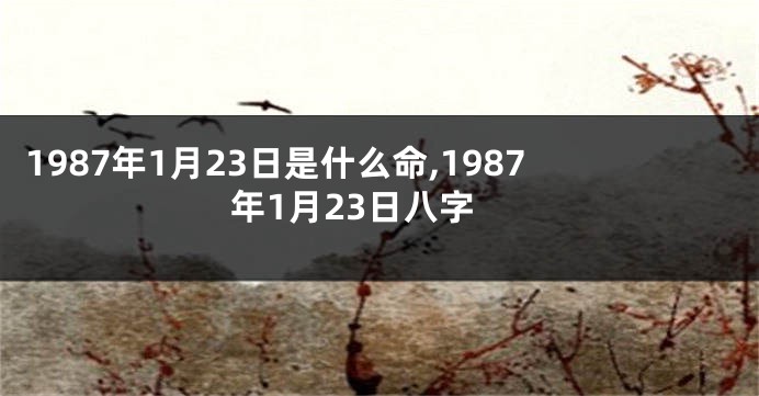 1987年1月23日是什么命,1987年1月23日八字