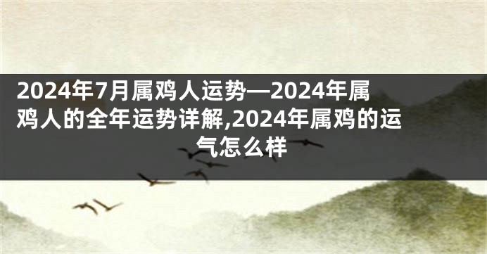 2024年7月属鸡人运势—2024年属鸡人的全年运势详解,2024年属鸡的运气怎么样