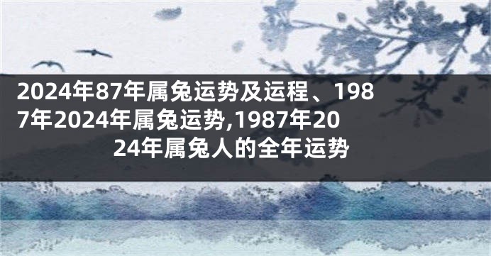 2024年87年属兔运势及运程、1987年2024年属兔运势,1987年2024年属兔人的全年运势