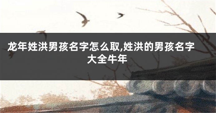 龙年姓洪男孩名字怎么取,姓洪的男孩名字大全牛年
