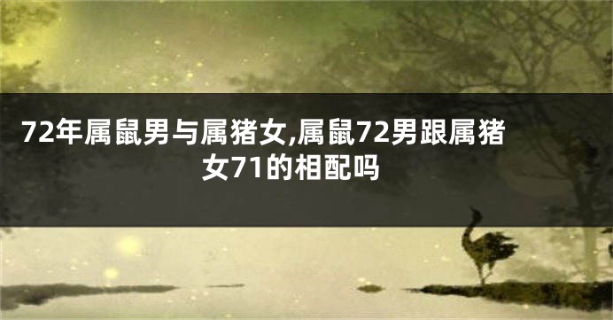 72年属鼠男与属猪女,属鼠72男跟属猪女71的相配吗