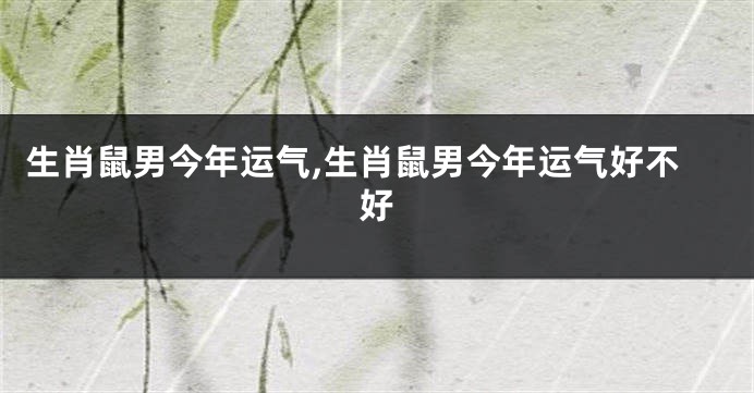 生肖鼠男今年运气,生肖鼠男今年运气好不好