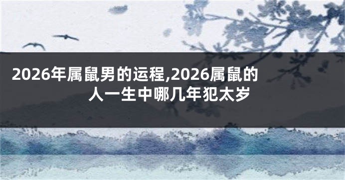 2026年属鼠男的运程,2026属鼠的人一生中哪几年犯太岁
