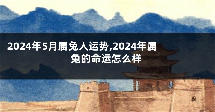 2024年5月属兔人运势,2024年属兔的命运怎么样