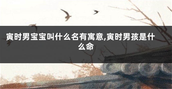 寅时男宝宝叫什么名有寓意,寅时男孩是什么命