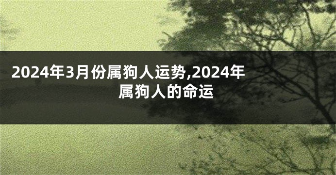 2024年3月份属狗人运势,2024年属狗人的命运