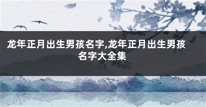 龙年正月出生男孩名字,龙年正月出生男孩名字大全集
