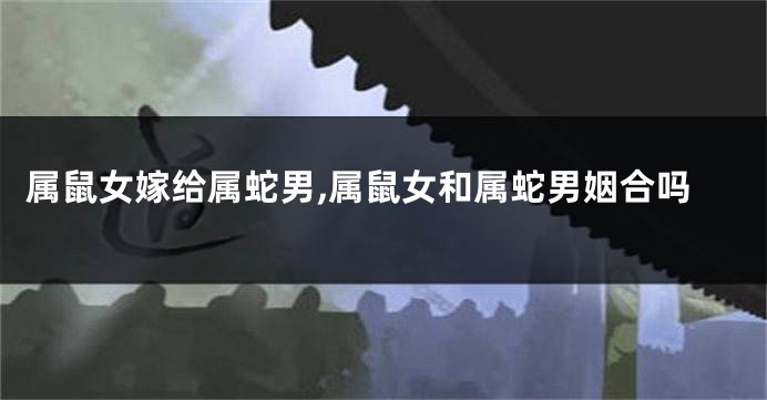 属鼠女嫁给属蛇男,属鼠女和属蛇男姻合吗
