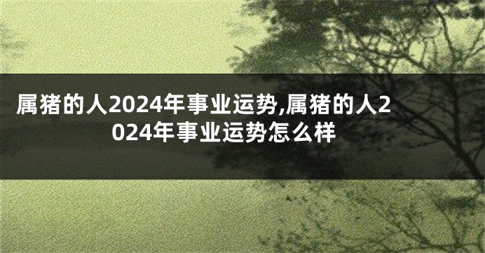 属猪的人2024年事业运势,属猪的人2024年事业运势怎么样