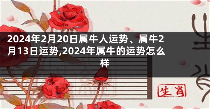 2024年2月20日属牛人运势、属牛2月13日运势,2024年属牛的运势怎么样