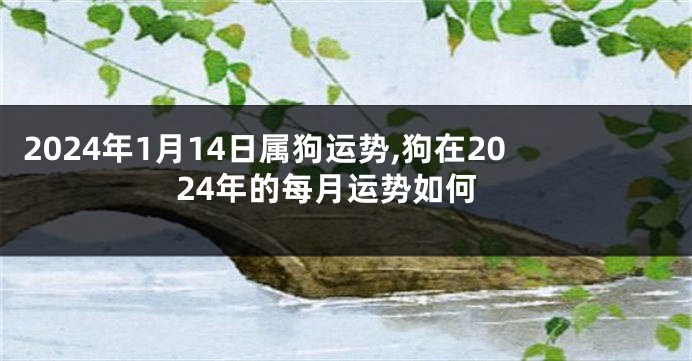 2024年1月14日属狗运势,狗在2024年的每月运势如何