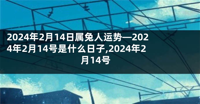 2024年2月14日属兔人运势—2024年2月14号是什么日子,2024年2月14号