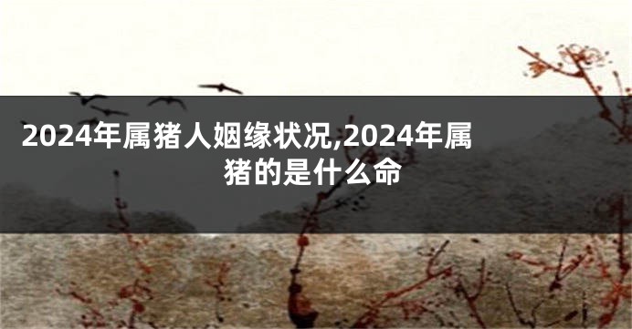 2024年属猪人姻缘状况,2024年属猪的是什么命